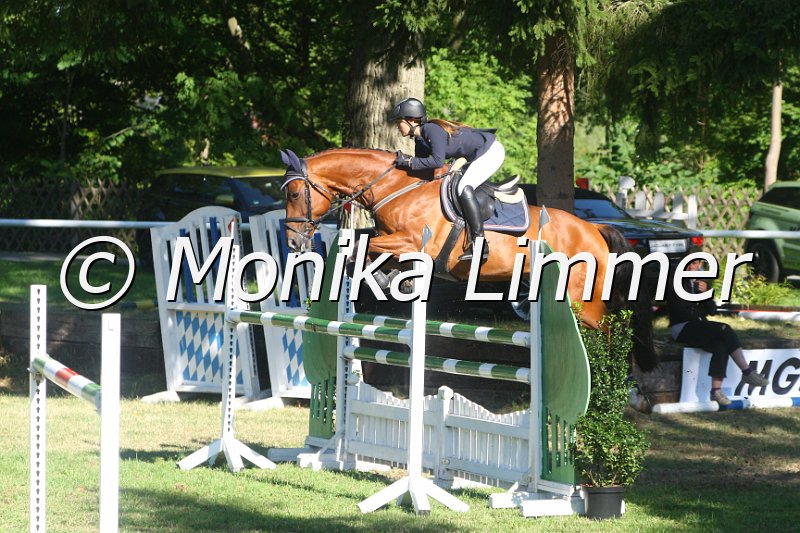 308M2642_Scalari_Stil Mx.JPG